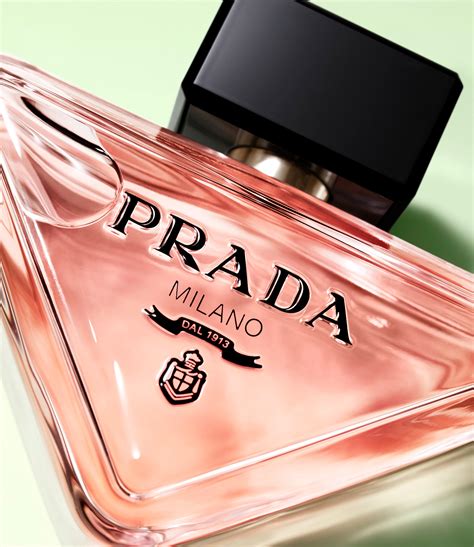 prada paradox nachfüllen|prada paradoxe muse.